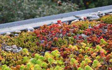 the cost of Tipton St John green roof installation