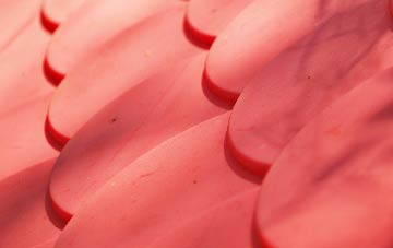 Tipton St John plastic roof costs