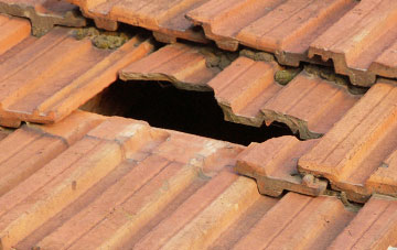 roof repair Tipton St John, Devon