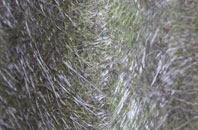 Tipton St John fibreglass roof work